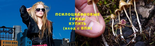 МДПВ Богородицк