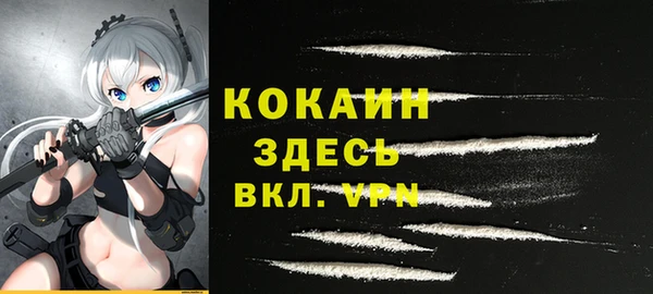 дживик Богородск
