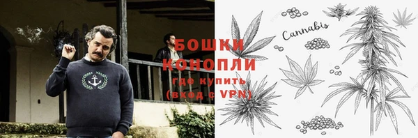 МДПВ Богородицк
