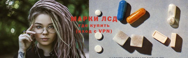 дживик Богородск