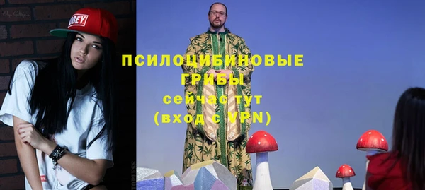 спиды Богданович