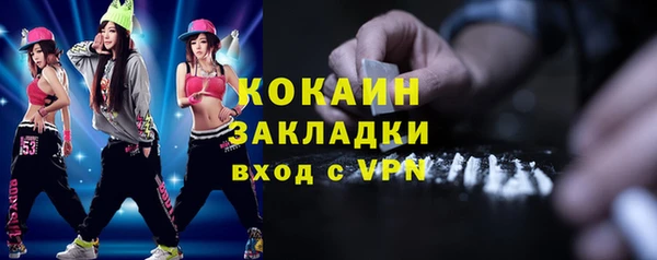дживик Богородск