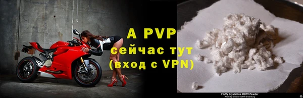 спиды Богданович