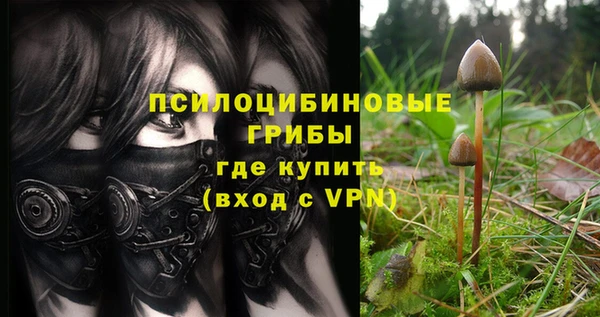 дживик Богородск
