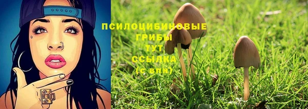 спиды Богданович