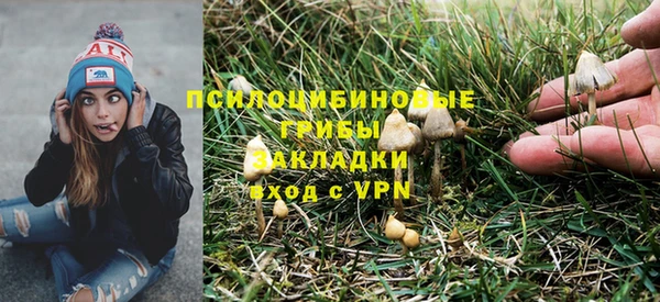 спиды Богданович